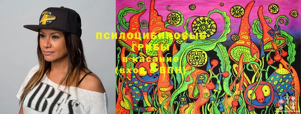 кокаин Алексеевка