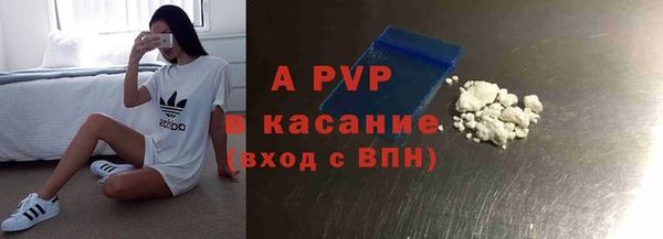 СК Алзамай