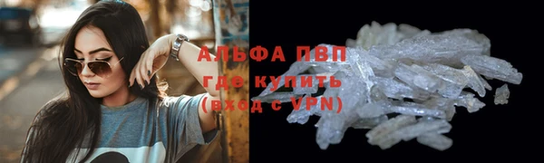 гидра Алексин