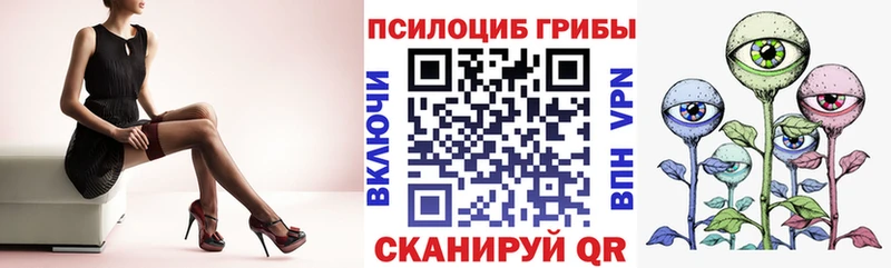 Галлюциногенные грибы Psilocybine cubensis  Кондопога 