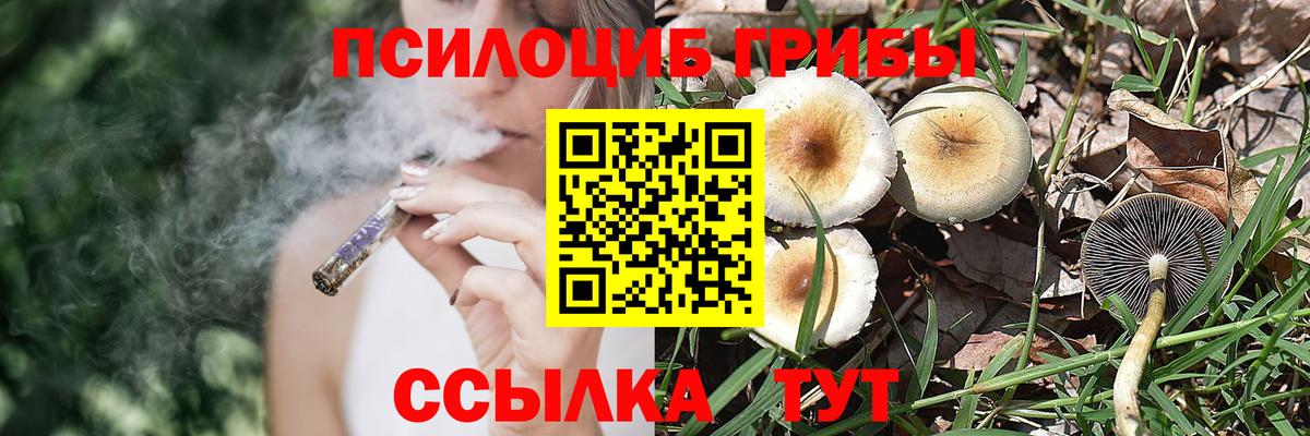 Псилоцибиновые грибы прущие грибы  Вход с VPN  Псилоцибиновые грибы GOLDEN TEACHER  Кондопога 